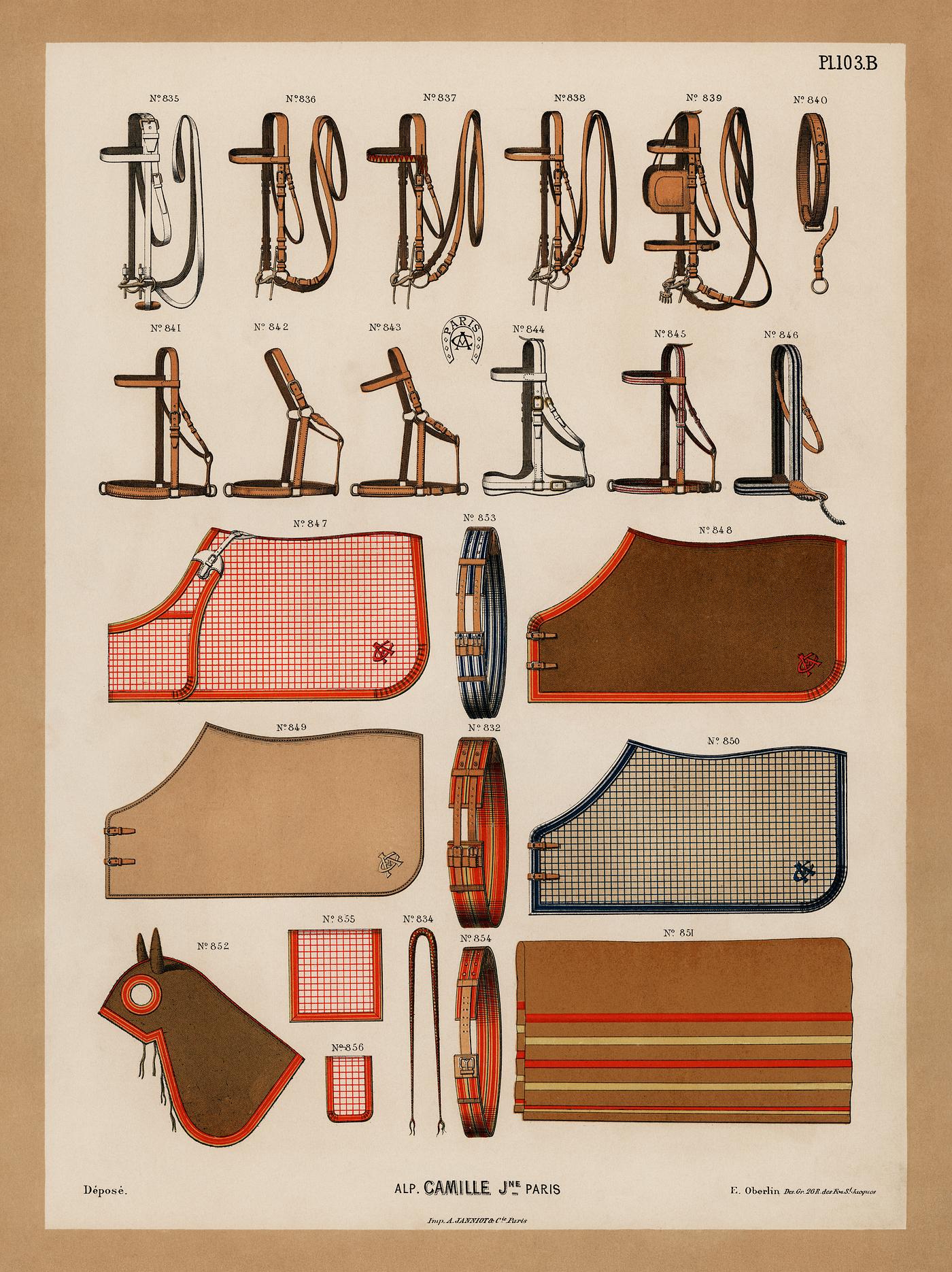 A chromolithograph of horseback riding equipments design showcase from an antique horseback riding catalog (1890). Digitally... A chromolithograph of horseback riding equipments design showcase from an antique horseback riding catalog (1890). Digitally...
