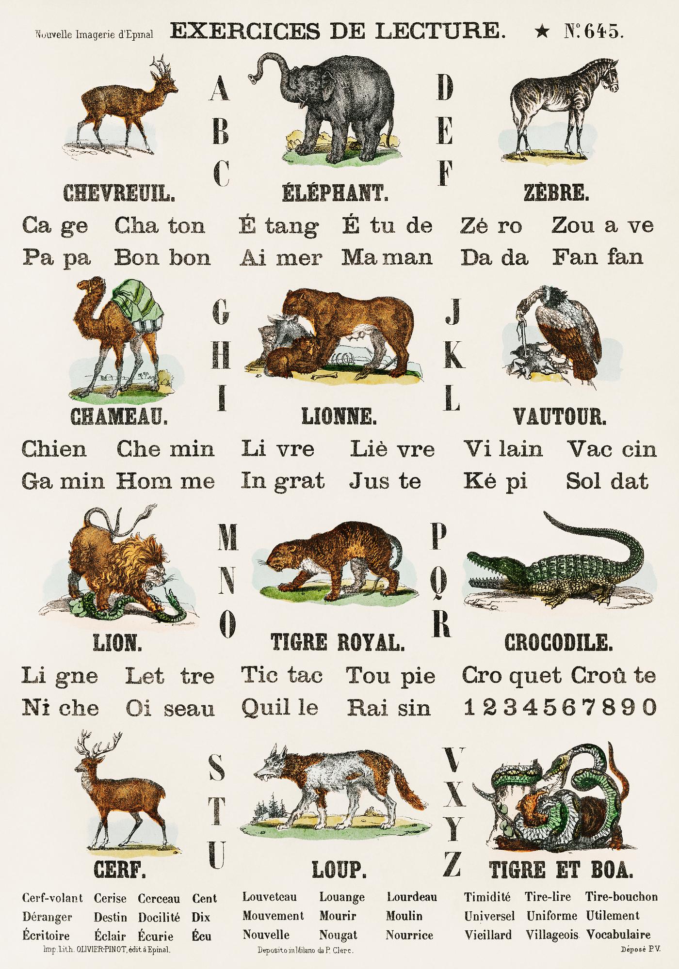 Catchpenny Print- Alphabet - Animals (1870) by Oliver Goldsmith (1728-1774), a print of alphabets and animals. Digitally... Catchpenny Print- Alphabet - Animals (1870) by Oliver Goldsmith (1728-1774), a print of alphabets and animals. Digitally...