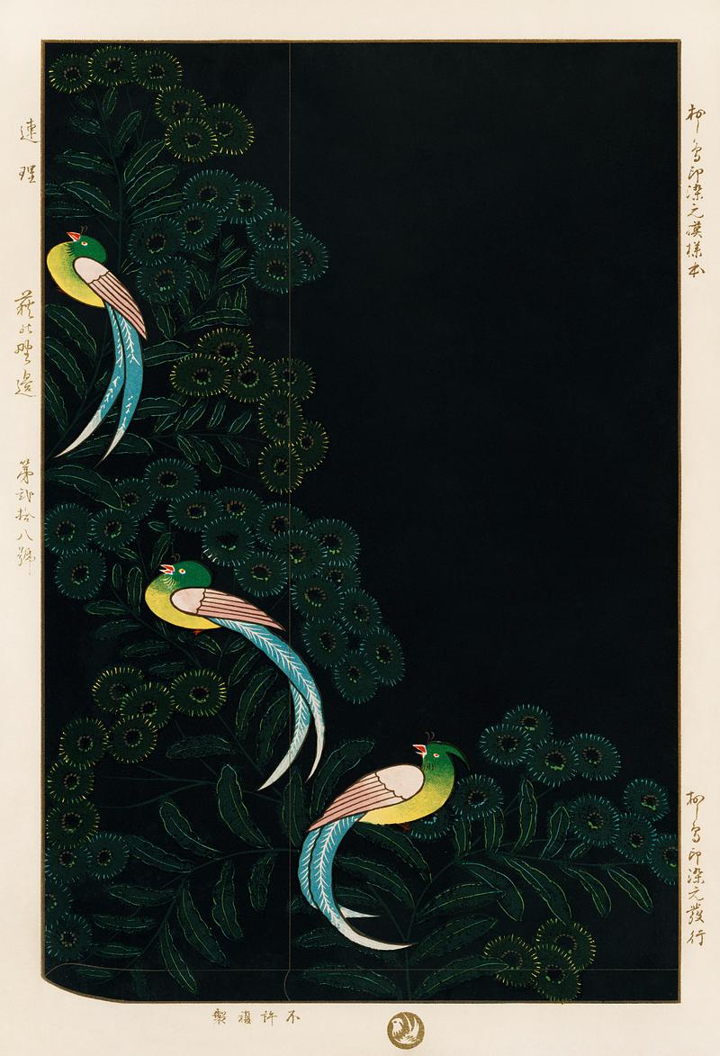 Traditional illustration lithograph of kimono design, three colorful birds in a black background. Digitally enhanced from our own antique plate. Traditional illustration lithograph of kimono design, three colorful birds in a black background. Digitally enhanced from our…