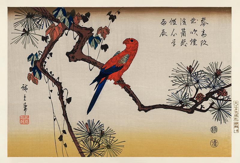 Ukiyo-e illustration, Macaw on Pine Branch by Utagawa Hiroshige, also known as Ando Hiroshige (1797-1858), a portrait of a vibrant macaw perched on a pine branch. Digitally enhanced from our own antique wood block print. Ukiyo-e illustration, Macaw on Pine Branch by Utagawa Hiroshige, also known as Ando Hiroshige (1797-1858), a portrait of a…