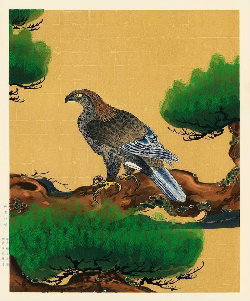 Large eagle Pine and Eagle, a traditional portrait of a charismatic Japanese eagle by Kano Tanyu (1602-1674). Digitally enhanced from our…