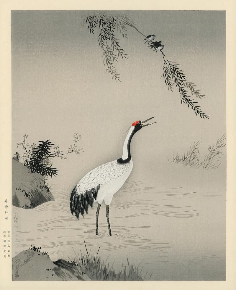 A traditional portrait of a beautiful Japanese crane by Kano Motonobu (1476-1559). Digitally enhanced from our own antique wood block print. A traditional portrait of a beautiful Japanese crane by Kano Motonobu (1476-1559). Digitally enhanced from our own antique…