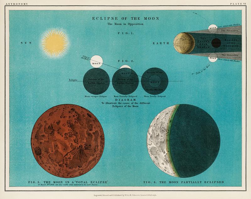 An astronomy lithograph the Eclipse of the Moon printed in 1908, an antique celestial chart of phases of the moon in the solar system. Digitally enhanced from our own original plate. An astronomy lithograph the Eclipse of the Moon printed in 1908, an antique celestial chart of phases of the moon in the…