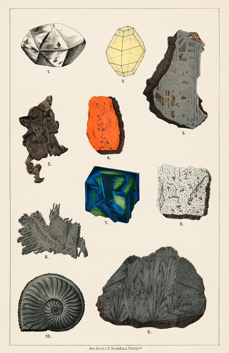 Natural History concept print (1880) by Emil Hochdanz (1816-1855), a collection of colorful gemstones. Digitally enhanced from our own original chromolithographic plate. Natural History concept print (1880) by Emil Hochdanz (1816-1855), a collection of colorful gemstones. Digitally enhanced…