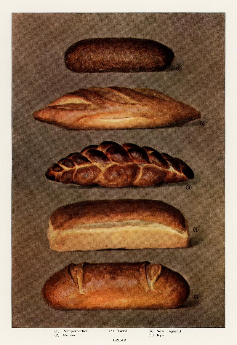 The Grocer's Encyclopedia, (1911), a vintage collection of various types of baked bread loaves. Digitally enhanced from our own antique plate. The Grocer's Encyclopedia, (1911), a vintage collection of various types of baked bread loaves. Digitally enhanced from our…