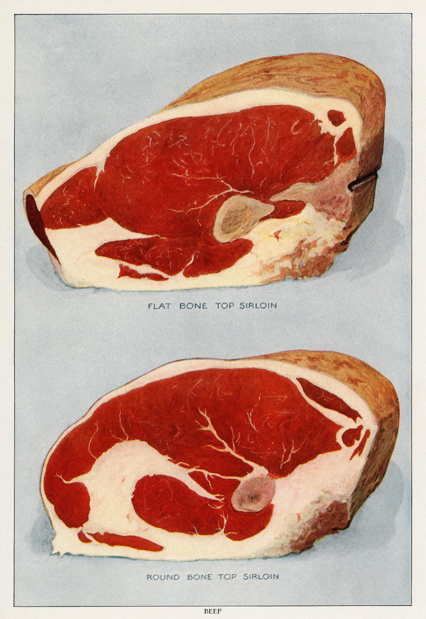 Beef Sirloins from the book, The Grocer’s Encyclopedia (1911). Digitally enhanced from our own original plate. Beef Sirloins from the book, The Grocer’s Encyclopedia (1911). Digitally enhanced from our own original plate.