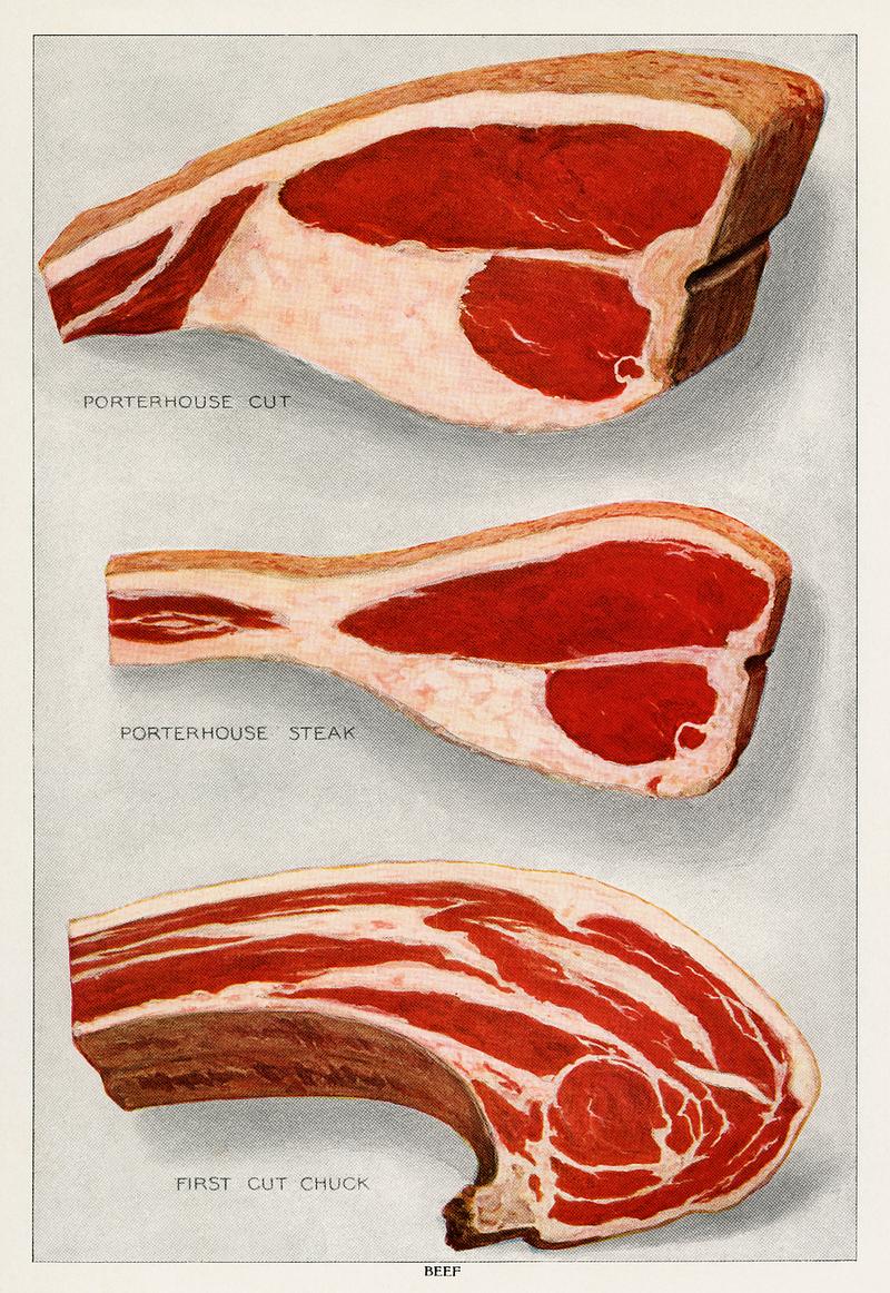 Beef Sirloins from the book, The Grocer’s Encyclopedia (1911). Digitally enhanced from tour own original antique plate. Beef Sirloins from the book, The Grocer’s Encyclopedia (1911). Digitally enhanced from tour own original antique plate.