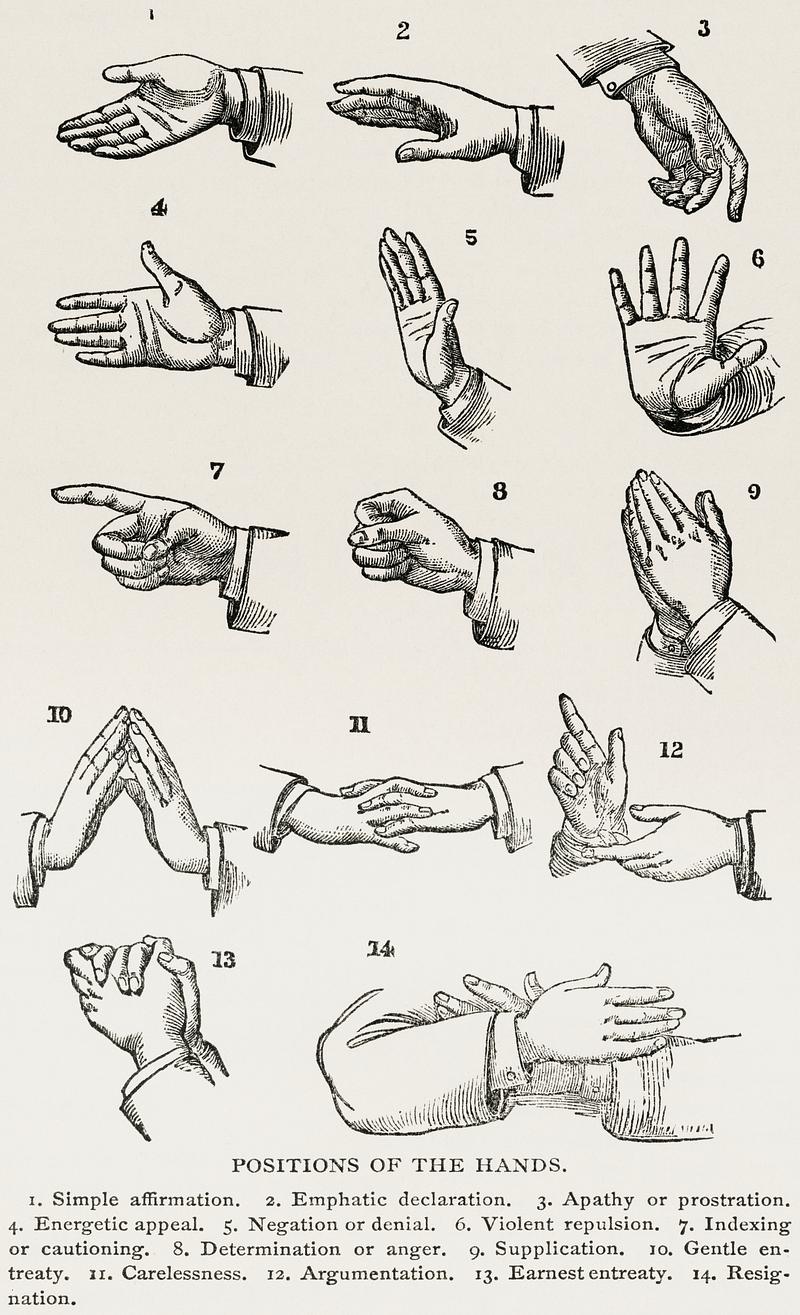 Positions of the Hands (1910) from the work of Joseph Gibbons Richardson (1836-1886). Drawings of hand gestures for sign language. Digitally enhanced from the original plate. Positions of the Hands (1910) from the work of Joseph Gibbons Richardson (1836-1886). Drawings of hand gestures for sign…