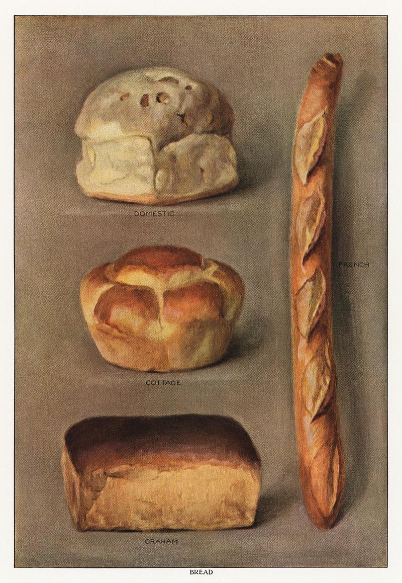 The Grocer's Encyclopedia (1911), a vintage collection of various types of baked bread loaves. Digitally enhanced from our own original plate. The Grocer's Encyclopedia (1911), a vintage collection of various types of baked bread loaves. Digitally enhanced from our…