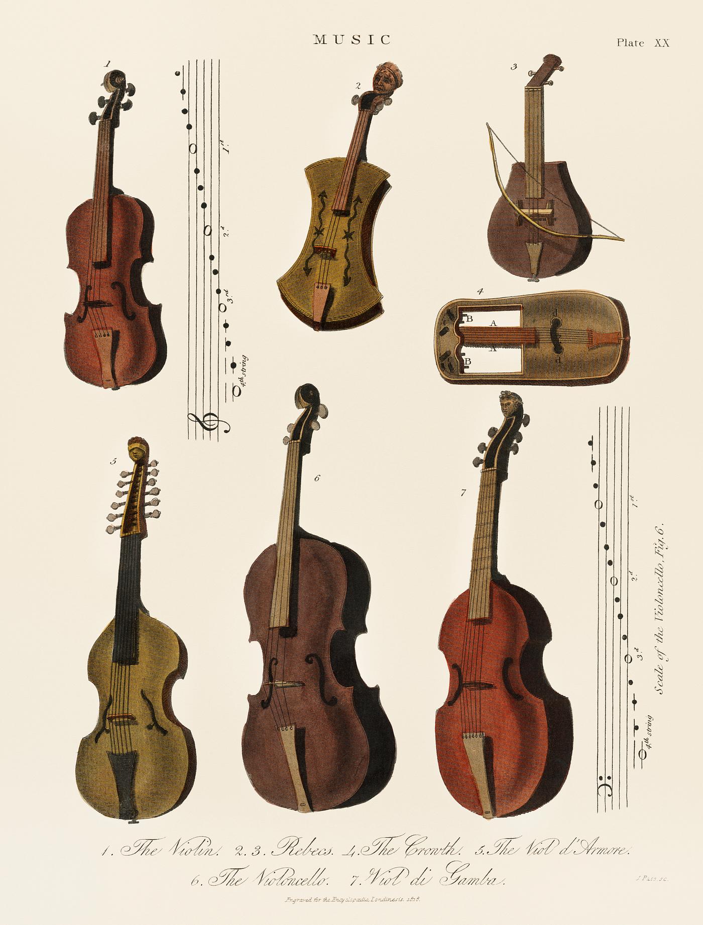 A collection of antique violin, viola, cello and more from Encyclopedia Londinensis; or Universal Dictionary of Arts,... A collection of antique violin, viola, cello and more from Encyclopedia Londinensis; or Universal Dictionary of Arts,...