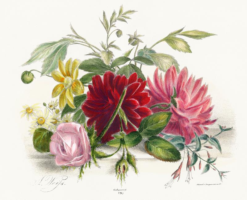 Colorful still life of flowers (1850), an arrangement of beautiful flowers. Digitally enhanced from our own original plate. Colorful still life of flowers (1850), an arrangement of beautiful flowers. Digitally enhanced from our own original plate.