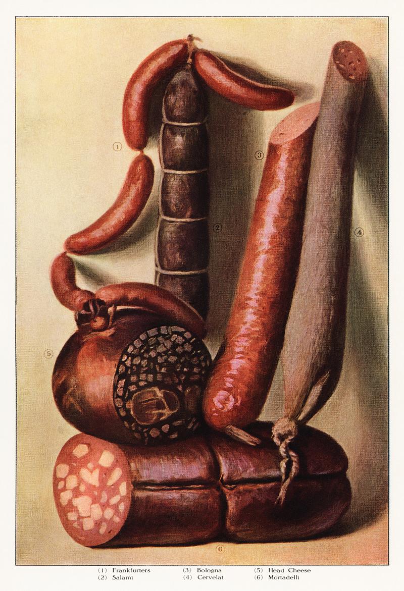 The Grocer's Encyclopedia (1911), an illustrated assortment of various types of appetizing sausages. Digitally enhanced from our own original plate. The Grocer's Encyclopedia (1911), an illustrated assortment of various types of appetizing sausages. Digitally enhanced from…