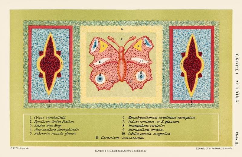 A chromolithograph of a botanical carpet bedding with a colorful butterfly by Federick William Burbridge (1847-1905).…