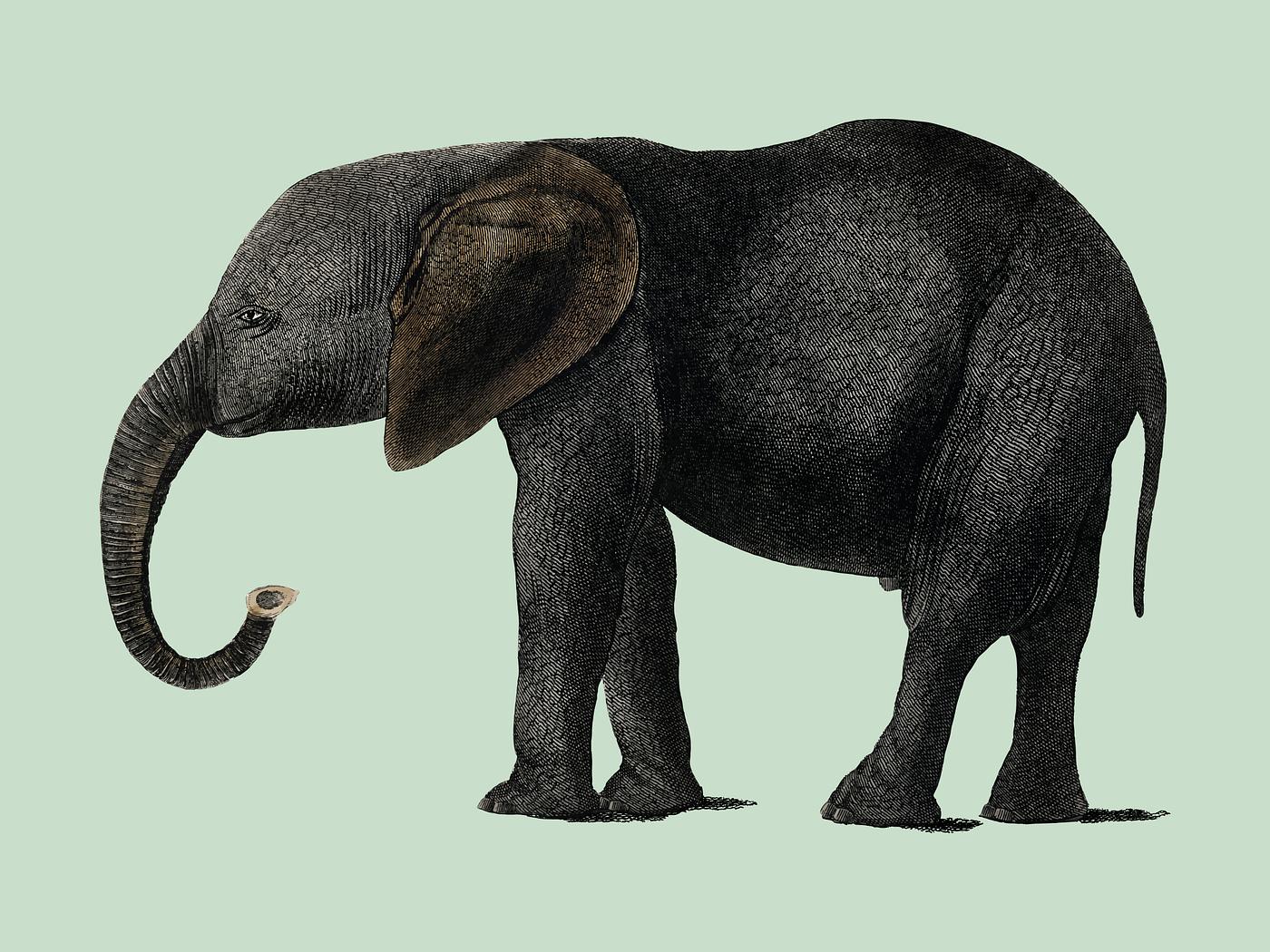 The History of the Earth and Animated Nature (1848) by Oliver Goldsmith (1728-1774), a portrait of a dark grey elephant.... The History of the Earth and Animated Nature (1848) by Oliver Goldsmith (1728-1774), a portrait of a dark grey elephant....