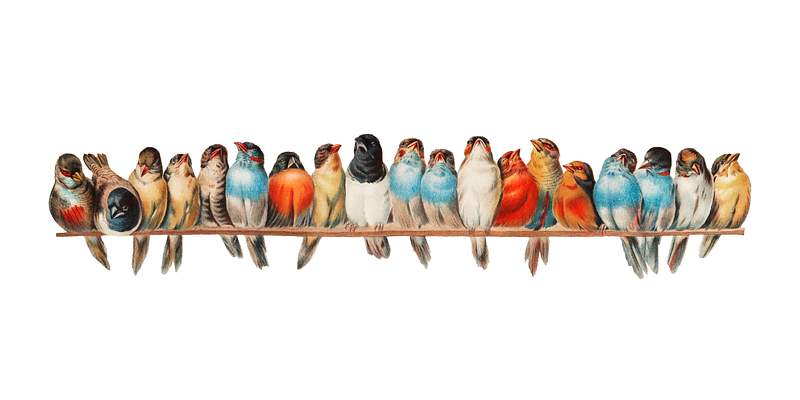 A Perch of Birds (1880) by Hector Giacomelli… | Royalty free stock vector A Perch of Birds (1880) by Hector Giacomelli (1822-1904). Digitally enhanced by rawpixel.