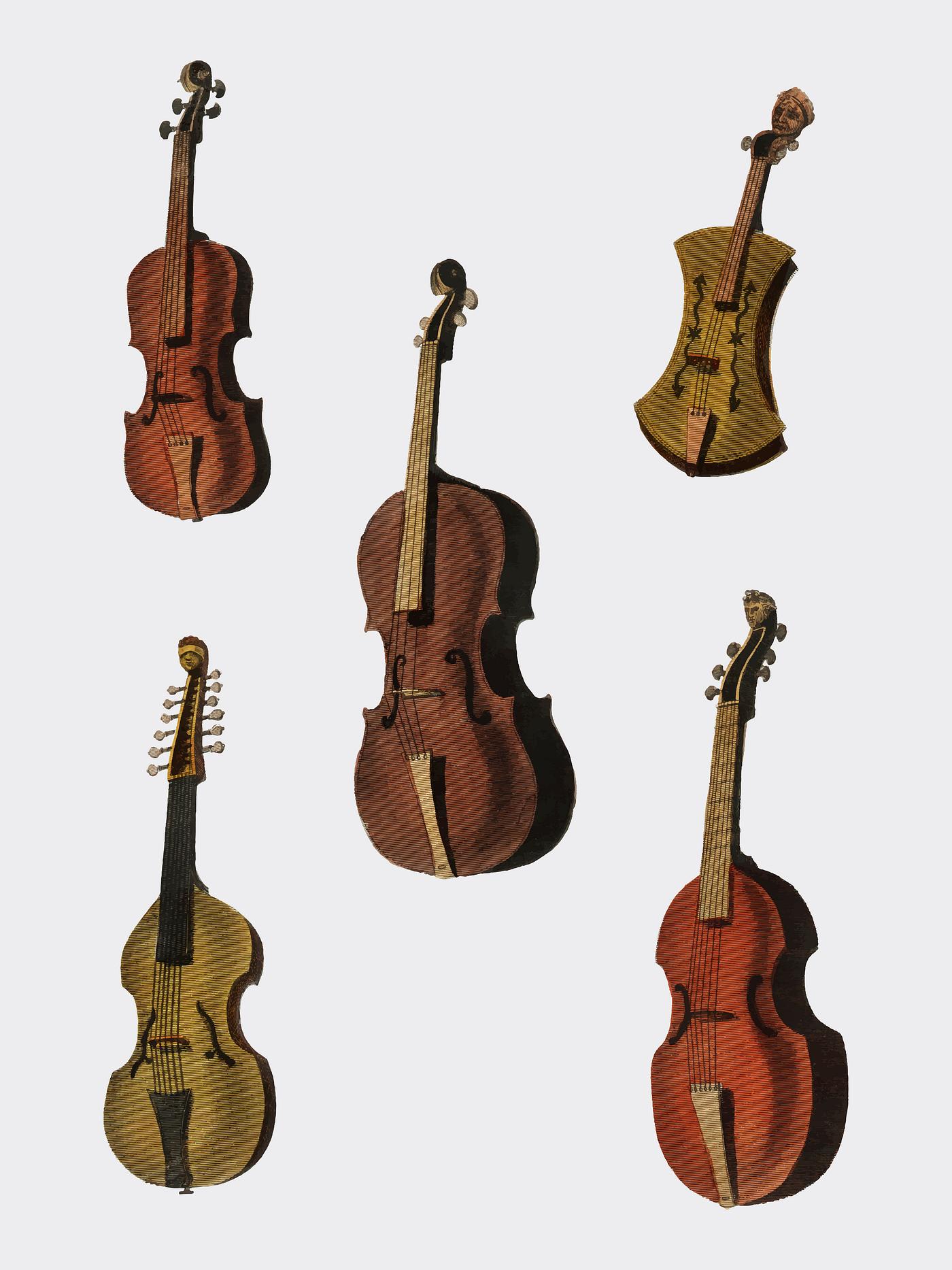 a collection of antique violin viola cello free stock vector