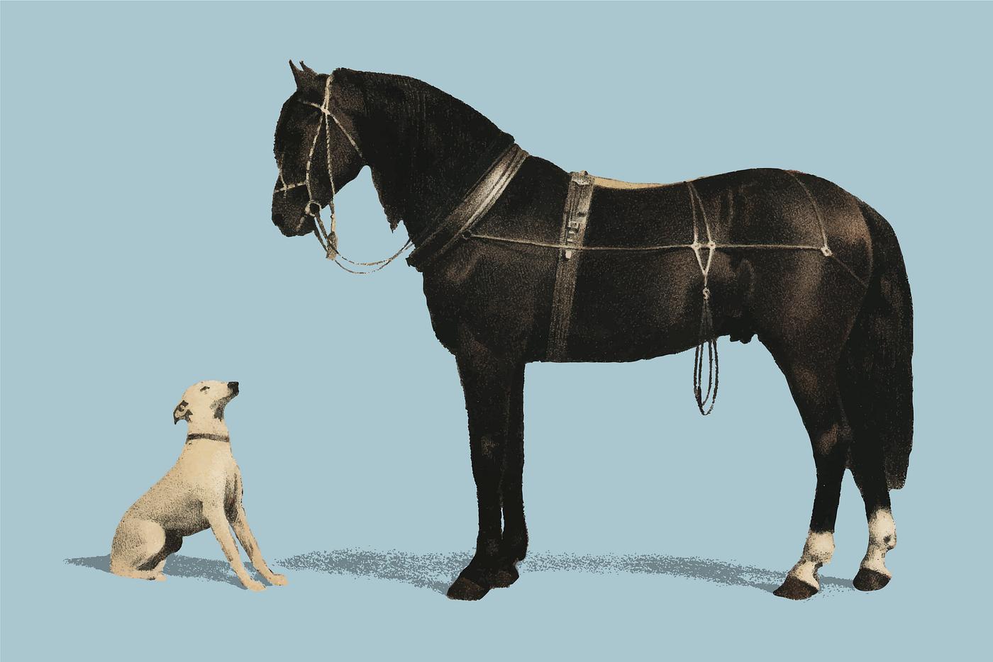 Orloffer (Orloff Horse) by Emil Volkers (1880), an illustration of a black horse and a white dog. Digitally enhanced by... Orloffer (Orloff Horse) by Emil Volkers (1880), an illustration of a black horse and a white dog. Digitally enhanced by...