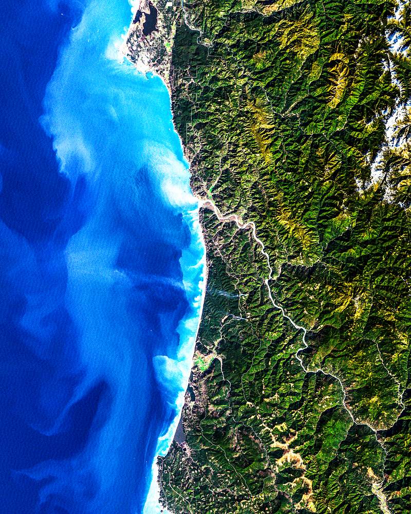 Redwood National Park. Original from NASA. Digitally enhanced by rawpixel. Redwood National Park. Original from NASA. Digitally enhanced by rawpixel.