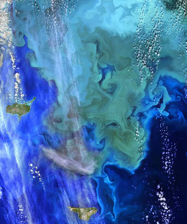 Greens and blues of the ocean color from NASA satellite data. Original from NASA. Digitally enhanced by rawpixel. 