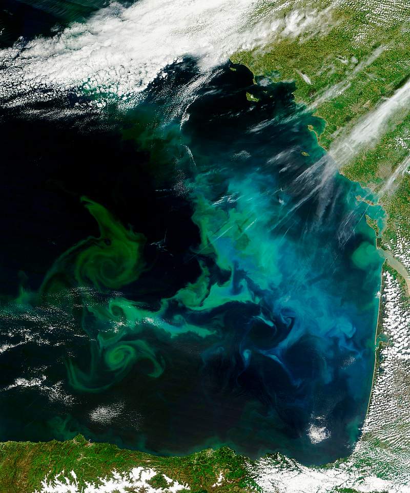 Phytoplankton bloom in the Bay of Biscay. Original from NASA. Digitally enhanced by rawpixel. Phytoplankton bloom in the Bay of Biscay. Original from NASA. Digitally enhanced by rawpixel.