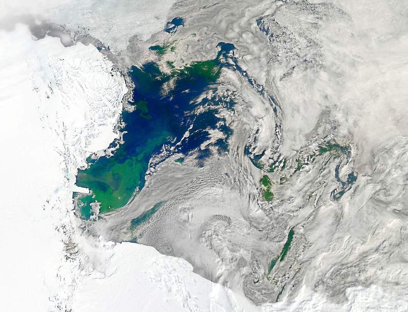 Every southern spring and summer, after the Sun has risen into its 24-hour circuit around the skies of Antarctica, the Ross Sea bursts with life. Original from NASA. Digitally enhanced by rawpixel. Every southern spring and summer, after the Sun has risen into its 24-hour circuit around the skies of Antarctica, the Ross…