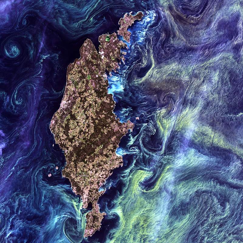 Massive congregations of greenish phytoplankton swirl in the dark water around Gotland, a Swedish island in the Baltic Sea. Original from NASA. Digitally enhanced by rawpixel. Massive congregations of greenish phytoplankton swirl in the dark water around Gotland, a Swedish island in the Baltic Sea.…