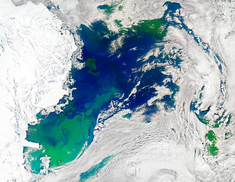 Every southern spring and summer the Ross Sea bursts with life. Original from NASA. Digitally enhanced by rawpixel. Every southern spring and summer the Ross Sea bursts with life. Original from NASA. Digitally enhanced by rawpixel.