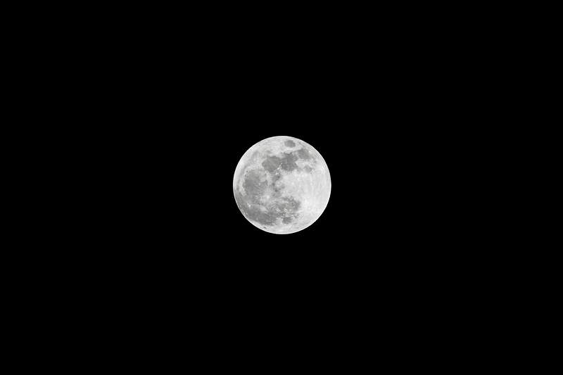 Super moon | Free public domain photo View of the super moon in the eastern sky over Kennedy Space Center in Florida. Original from NASA. Digitally enhanced by…