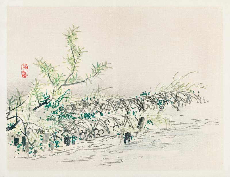 Bulrush by Kōno Bairei (1844-1895). Digitally enhanced from our own original 1913 edition of Bairei Gakan.