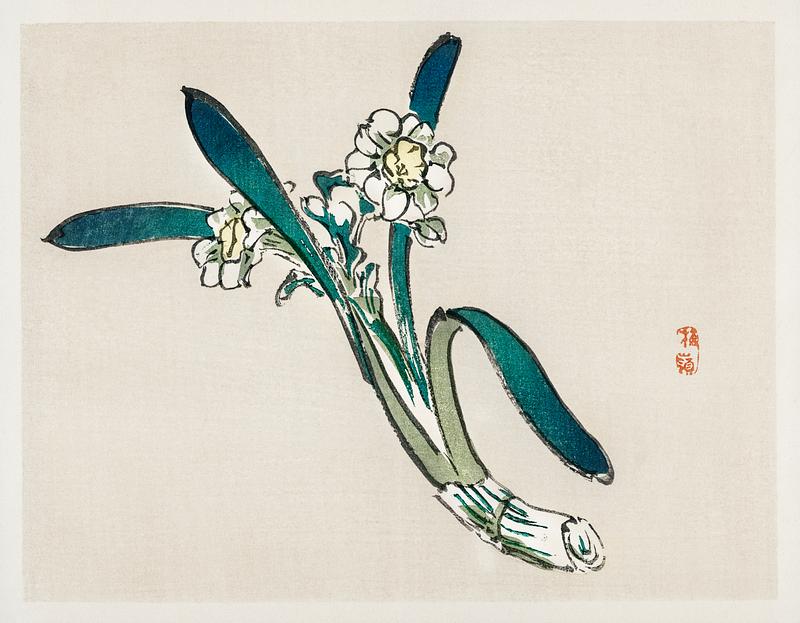 Bunchflower Daffodil by Kōno Bairei (1844-1895). Digitally enhanced from our own original 1913 edition of Bairei Gakan. Bunchflower Daffodil by Kōno Bairei (1844-1895). Digitally enhanced from our own original 1913 edition of Bairei Gakan.