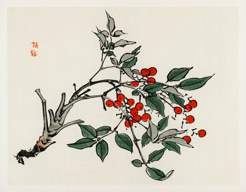 Firethorns by Kōno Bairei (1844-1895). Digitally enhanced from our own original 1913 edition of Bairei Gakan. Firethorns by Kōno Bairei (1844-1895). Digitally enhanced from our own original 1913 edition of Bairei Gakan.