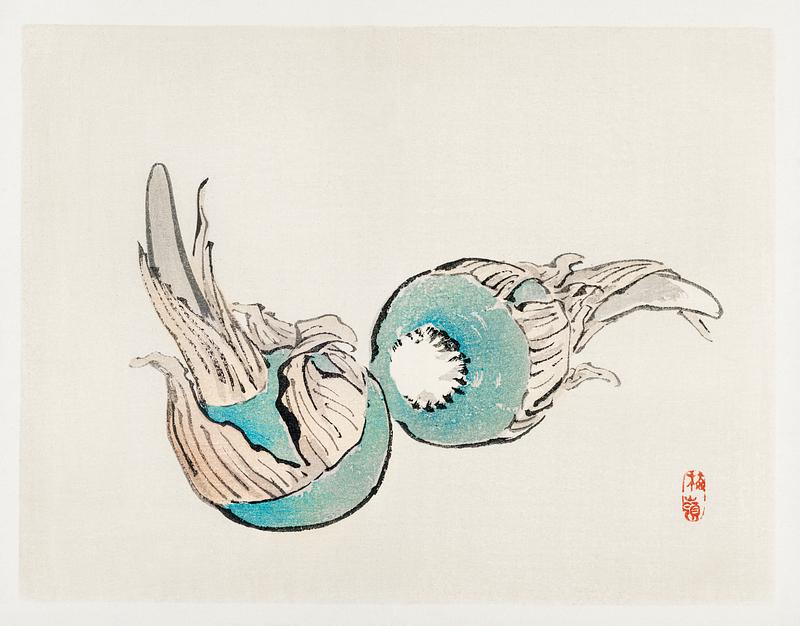 Kuwai Bulbs by Kōno Bairei (1844-1895). Digitally enhanced from our own original 1913 edition of Bairei Gakan. Kuwai Bulbs by Kōno Bairei (1844-1895). Digitally enhanced from our own original 1913 edition of Bairei Gakan.