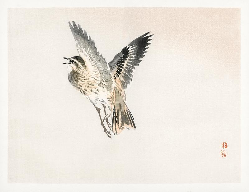 Sparrow by Kōno Bairei (1844-1895). Digitally enhanced from our own original 1913 edition of Bairei Gakan. Sparrow by Kōno Bairei (1844-1895). Digitally enhanced from our own original 1913 edition of Bairei Gakan.