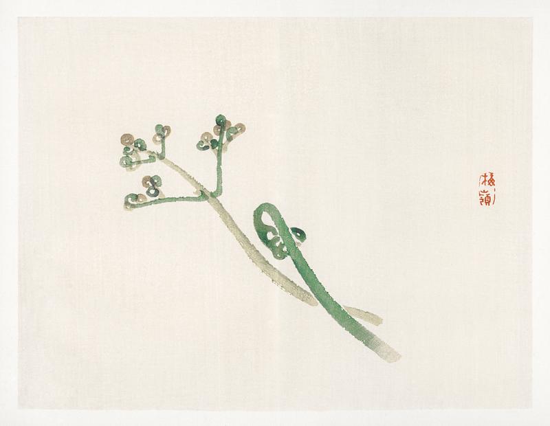 Blossom by Kōno Bairei (1844-1895). Digitally enhanced from our own original 1913 edition of Bairei Gakan. Blossom by Kōno Bairei (1844-1895). Digitally enhanced from our own original 1913 edition of Bairei Gakan.