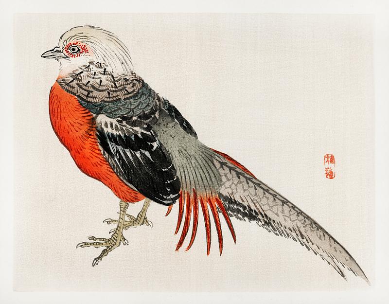 Japanese pheasant by Kōno Bairei (1844-1895). Digitally enhanced from our own original 1913 edition of Bairei Gakan. Japanese pheasant by Kōno Bairei (1844-1895). Digitally enhanced from our own original 1913 edition of Bairei Gakan.