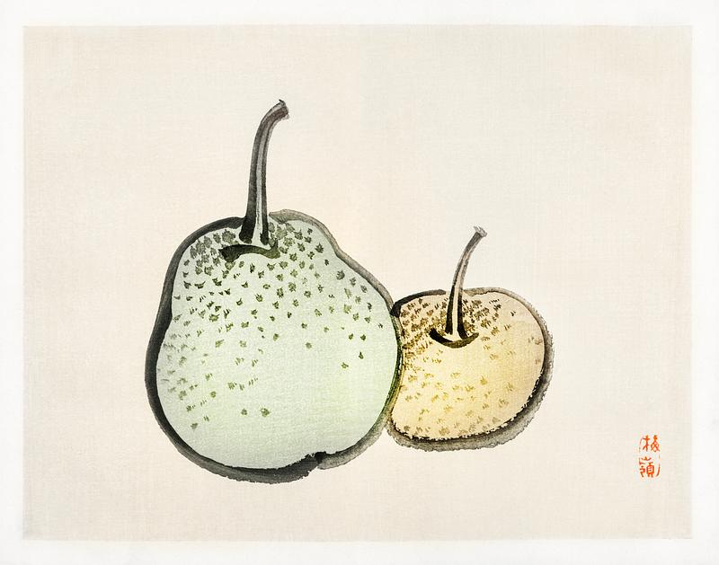 Asian pears by Kōno Bairei (1844-1895). Digitally enhanced from our own original 1913 edition of Bairei Gakan. Asian pears by Kōno Bairei (1844-1895). Digitally enhanced from our own original 1913 edition of Bairei Gakan.