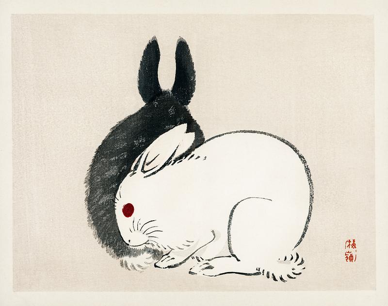 Black and white rabbits by Kōno Bairei (1844-1895). Digitally enhanced from our own original 1913 edition of Bairei Gakan. Black and white rabbits by Kōno Bairei (1844-1895). Digitally enhanced from our own original 1913 edition of Bairei Gakan.