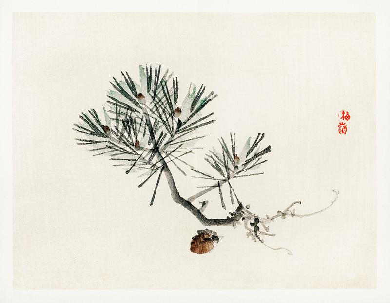 Pine by Kōno Bairei (1844-1895). Digitally enhanced from our own original 1913 edition of Barei Gakan. Pine by Kōno Bairei (1844-1895). Digitally enhanced from our own original 1913 edition of Barei Gakan.