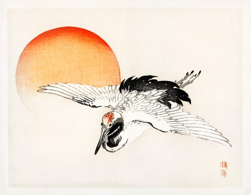Flying Barn swallow by Kōno Bairei (1844-1895) Digitally enhanced from our own original 1913 edition.