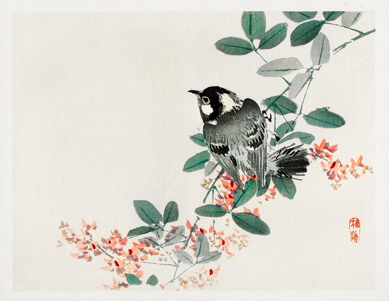 Black-capped chickadee by Kōno Bairei (1844-1895). Digitally enhanced from our own original 1913 edition of Barei Gakan. Black-capped chickadee by Kōno Bairei (1844-1895). Digitally enhanced from our own original 1913 edition of Barei Gakan.