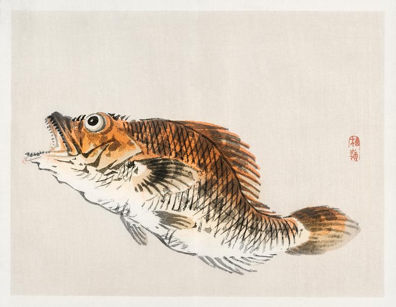 Muskellunge by Kōno Bairei (1844-1895). Digitally enhanced from our own original 1913 edition of Barei Gakan. Muskellunge by Kōno Bairei (1844-1895). Digitally enhanced from our own original 1913 edition of Barei Gakan.