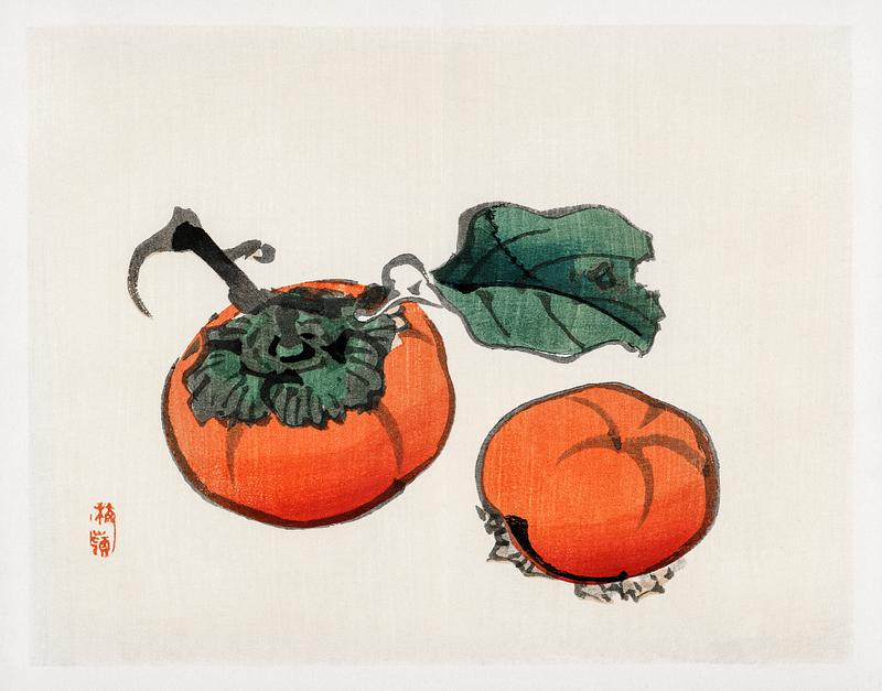 Persimmons by Kōno Bairei (1844-1895). Digitally enhanced from our own original 1913 edition of Bairei Gakan. Persimmons by Kōno Bairei (1844-1895). Digitally enhanced from our own original 1913 edition of Bairei Gakan.