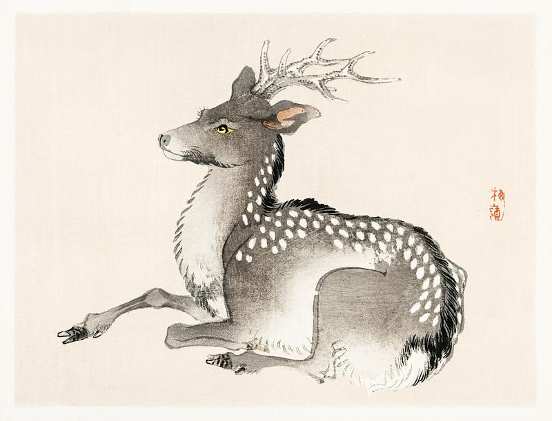 Elk by Kōno Bairei (1844-1895). Digitally enhanced from our own original 1913 edition of Barei Gakan. Elk by Kōno Bairei (1844-1895). Digitally enhanced from our own original 1913 edition of Barei Gakan.