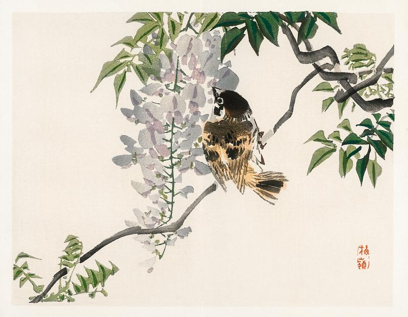 Sparrow on a branch by Kōno Bairei (1844-1895). Digitally enhanced from our own original 1913 edition of Barei Gakan. Sparrow on a branch by Kōno Bairei (1844-1895). Digitally enhanced from our own original 1913 edition of Barei Gakan.