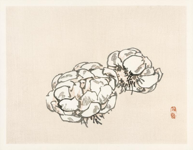 Blossoms by Kōno Bairei (1844-1895). Digitally enhanced from our own original 1913 edition of Barei Gakan. Blossoms by Kōno Bairei (1844-1895). Digitally enhanced from our own original 1913 edition of Barei Gakan.