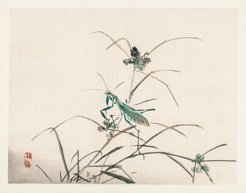 Grasshopper by Kōno Bairei (1844-1895). Digitally enhanced from our own original 1913 edition of Barei Gakan. Grasshopper by Kōno Bairei (1844-1895). Digitally enhanced from our own original 1913 edition of Barei Gakan.