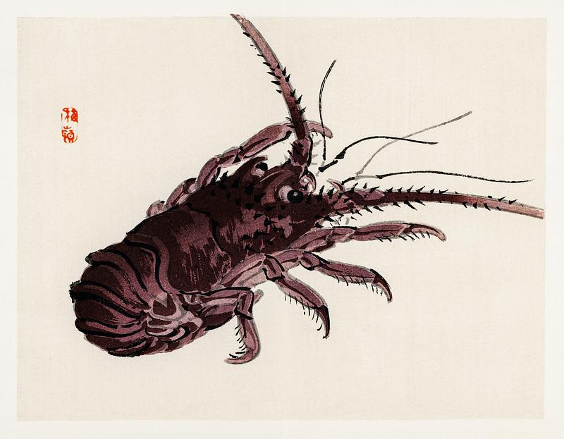 Crayfish by Kōno Bairei (1844-1895). Digitally enhanced from our own original 1913 edition of Barei Gakan. Crayfish by Kōno Bairei (1844-1895). Digitally enhanced from our own original 1913 edition of Barei Gakan.