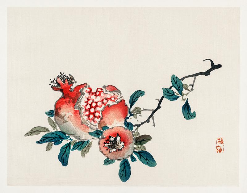 Pomegranate by Kōno Bairei (1844-1895). Digitally enhanced from our own original 1913 edition of Barei Gakan. Pomegranate by Kōno Bairei (1844-1895). Digitally enhanced from our own original 1913 edition of Barei Gakan.