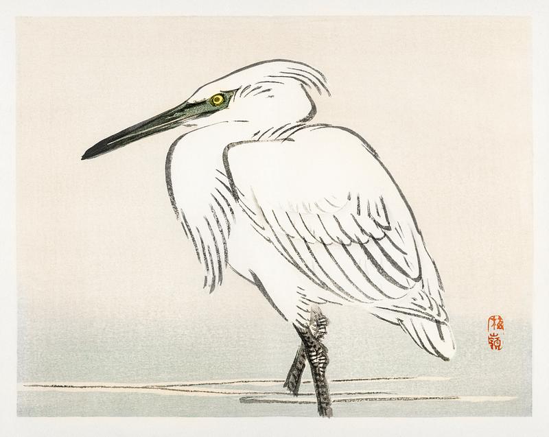 Snowy egret by Kōno Bairei (1844-1895). Digitally enhanced from our own original 1913 edition of Barei Gakan. Snowy egret by Kōno Bairei (1844-1895). Digitally enhanced from our own original 1913 edition of Barei Gakan.