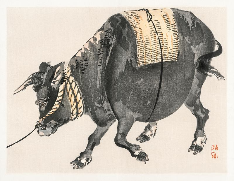 Black bull by Kōno Bairei (1844-1895). Digitally enhanced from our own original 1913 edition of Barei Gakan. Black bull by Kōno Bairei (1844-1895). Digitally enhanced from our own original 1913 edition of Barei Gakan.